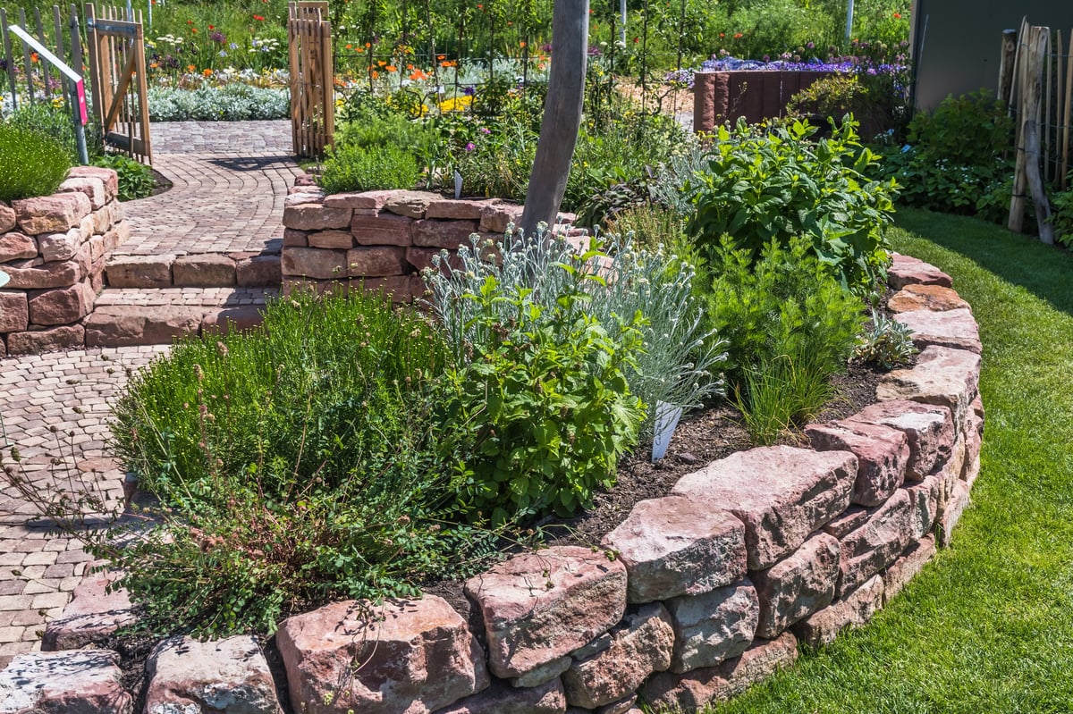 Beautiful garden patio with sandstone paving